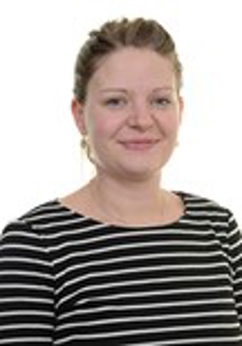Faglig leder i Kultur-Basen