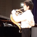 Horn